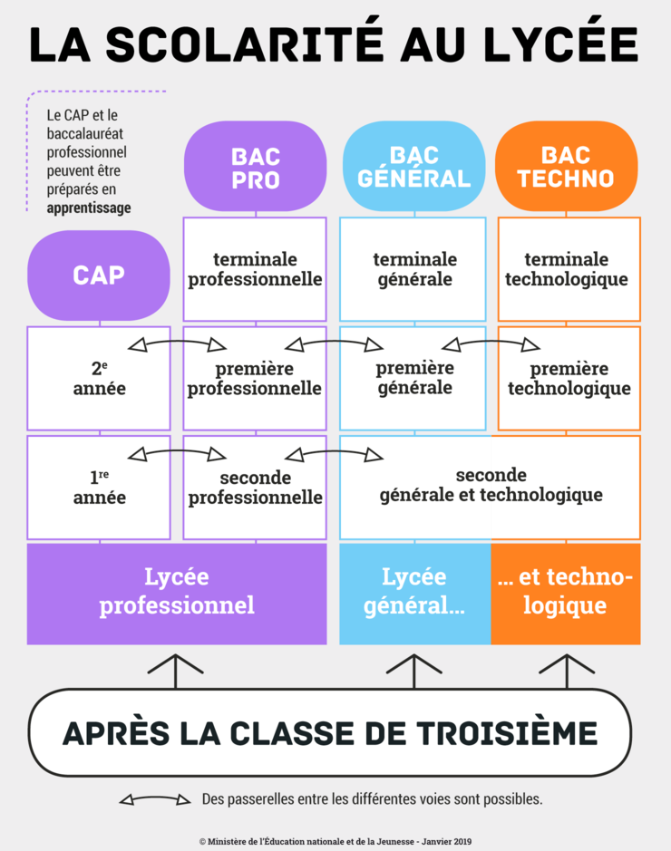 Projet De Réforme Des Institutions 2019 C'est Quoi